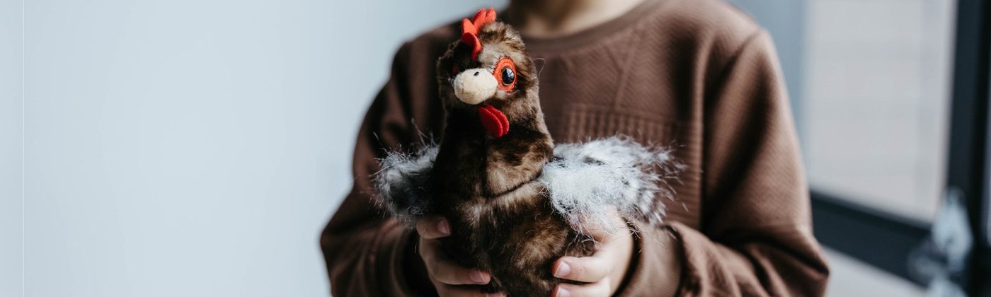 A child in a brown coat cuddling a small plush animal