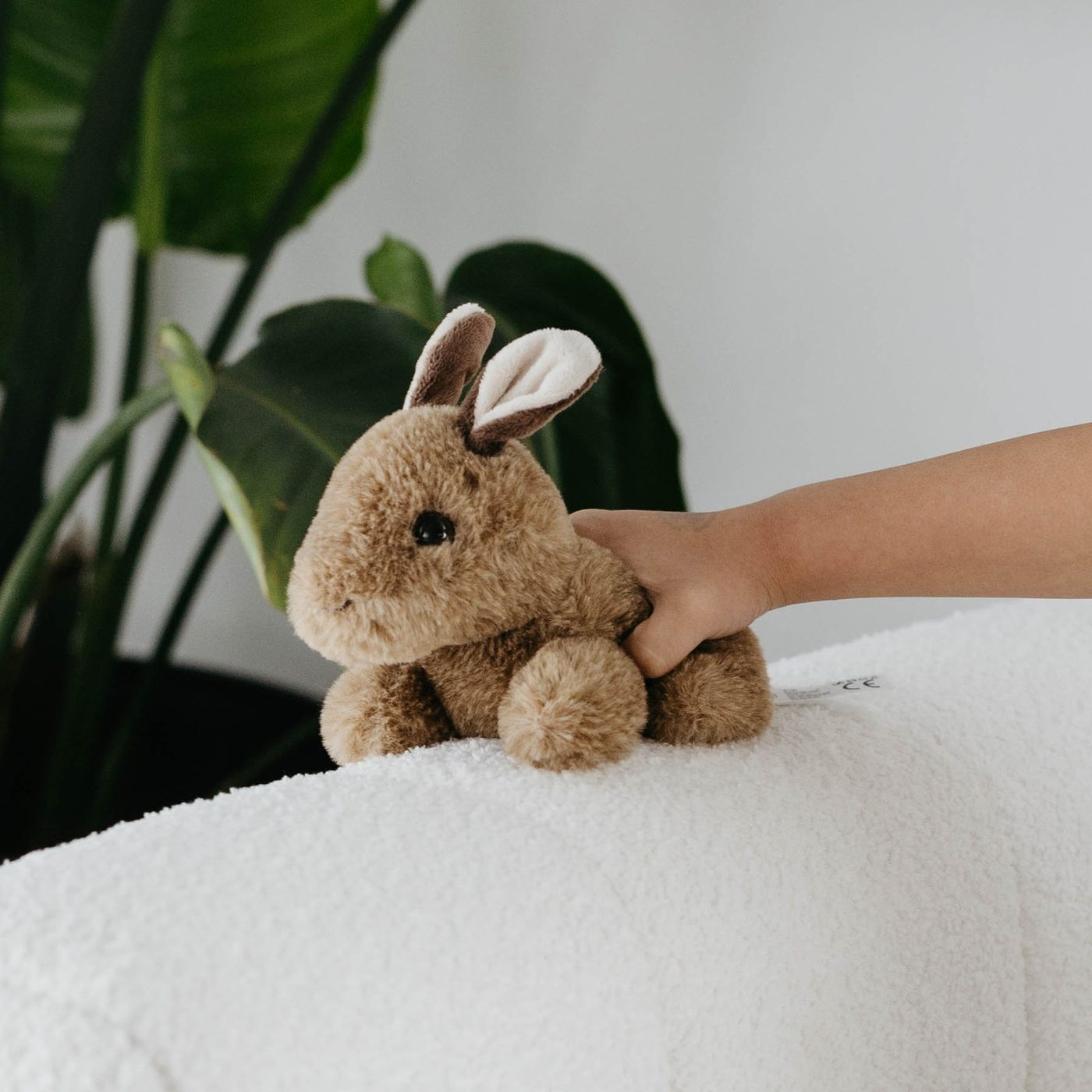 A small bunny plush toy held in an open hand