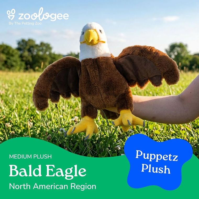 Bald Eagle Hand Puppet Stuffed Animal by Zoologee, view 3