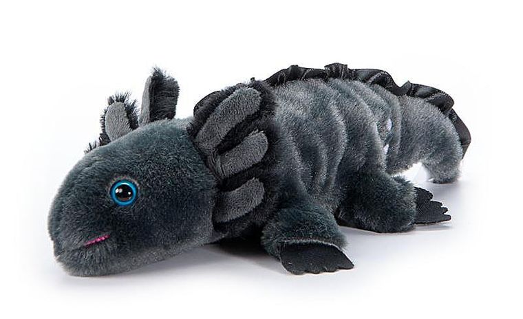 Black Axolotl Stuffed Animal, Scoopz by Zoologee