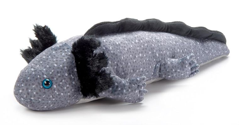 Black Axolotl Stuffed Animal, Wild Onez by Zoologee, view 2