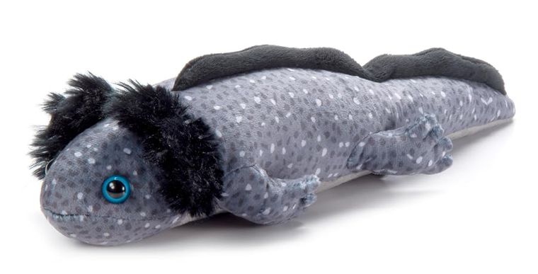 Black Axolotl Stuffed Animal, Wild Onez by Zoologee, view 2