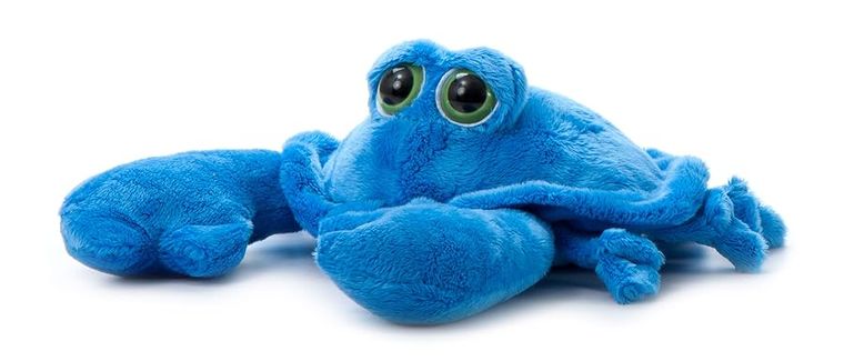 Blue Crab Stuffed Animal, Bright Eyez by Zoologee, view 2