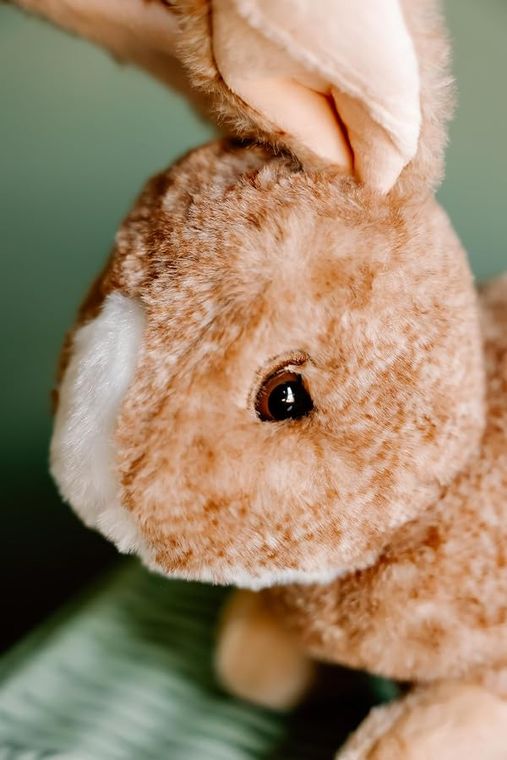 Brown Bunny Rabbit Stuffed Animal Plushie, Wild Onez by Zoologee, view 3