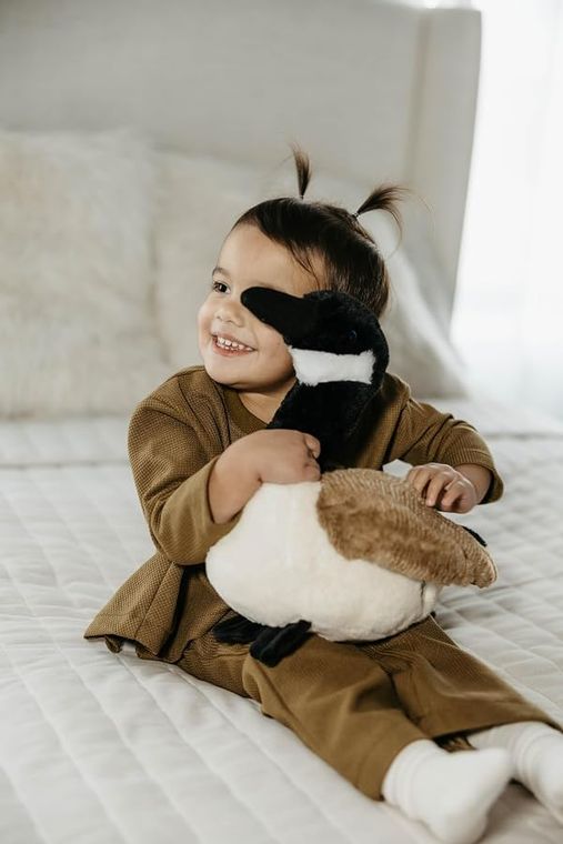 Canada Goose Stuffed Animal, Wild Onez by Zoologee, view 3
