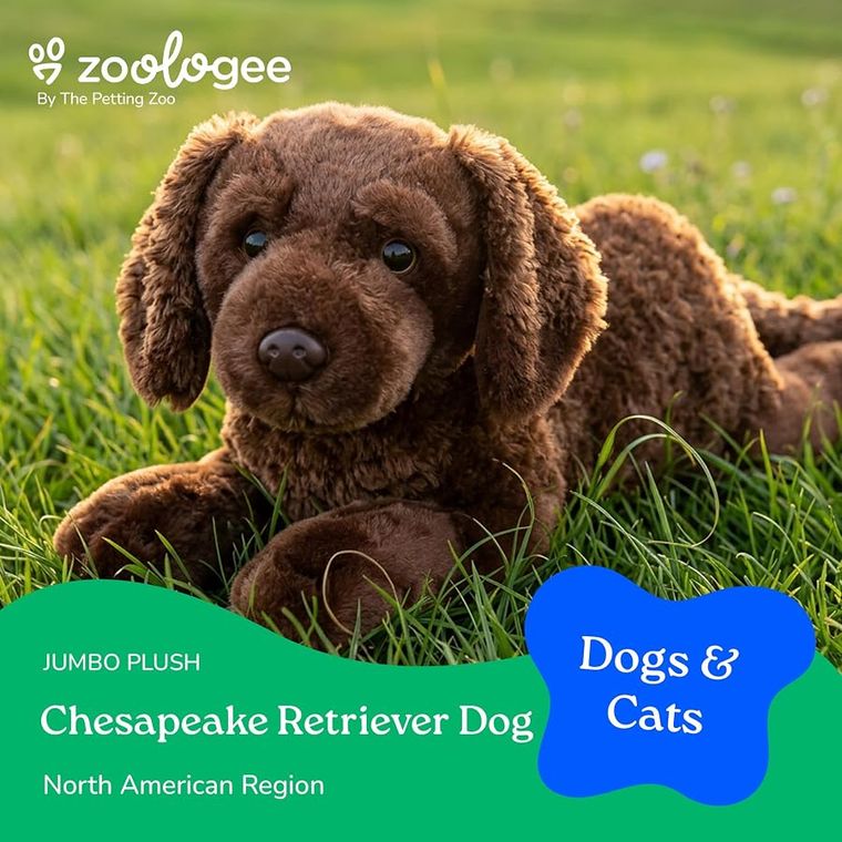 Chesapeake Retriever Dog Stuffed Animal by Zoologee, view 3