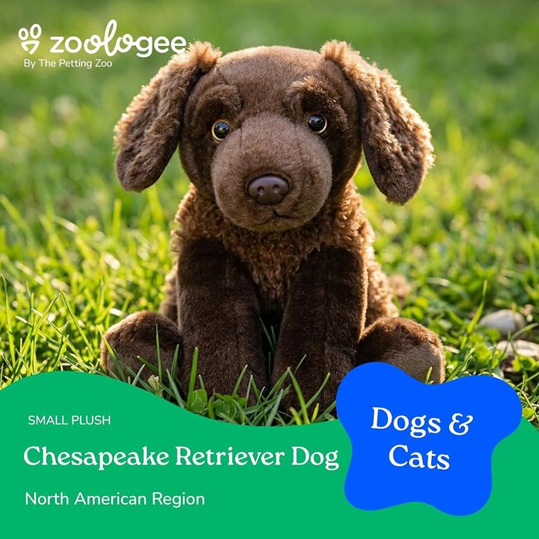 Chesapeake Retriever Dog Stuffed Animal by Zoologee, view 3
