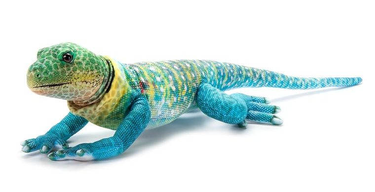 Collared Lizard Stuffed Animal Plushie, Wild Onez by Zoologee, view 2