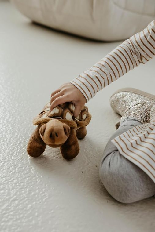 Desert Tortoise Stuffed Animal, Wild Onez by Zoologee, view 2