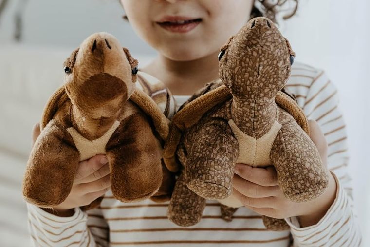 Desert Tortoise Stuffed Animal, Wild Onez by Zoologee, view 3