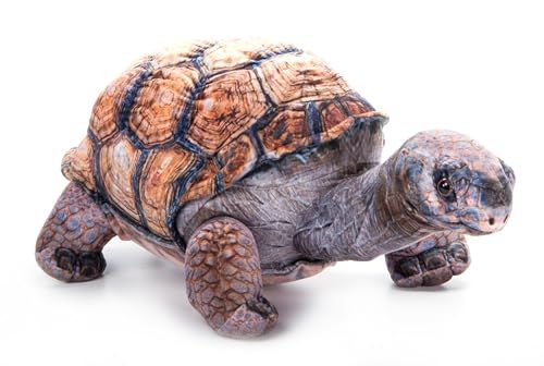 Galapagos Tortoise Stuffed Animal Plushie, Wild Onez by Zoologee