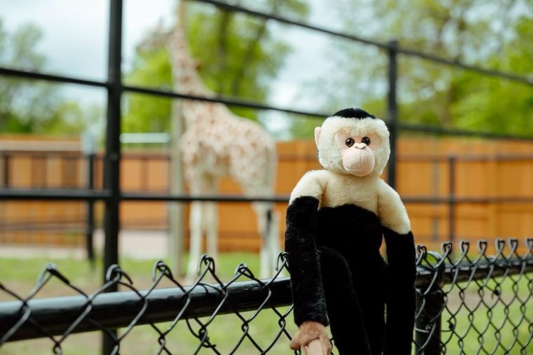 Hanging Capuchin Monkey Stuffed Animal by Zoologee, view 3