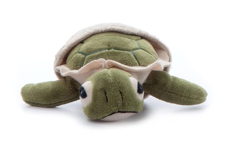Hatchling Sea Turtle Stuffed Animal, Wild Onez by Zoologee, view 3