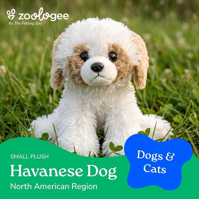 Havanese Dog Stuffed Animal Plushie by Zoologee, view 2