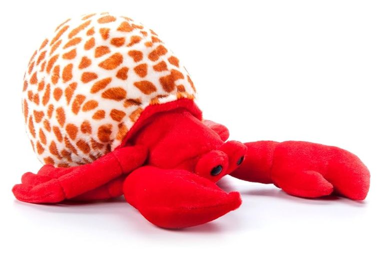 Hermit Crab Stuffed Animal, Wild Onez by Zoologee, view 2