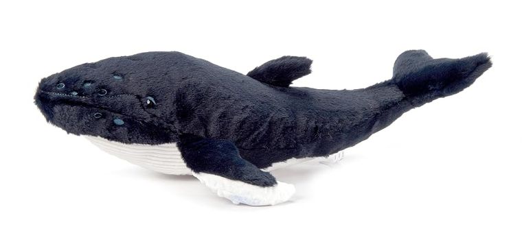 Humpback Whale Stuffed Animal, Wild Onez by Zoologee, view 2