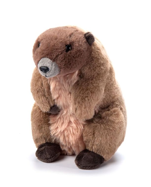 Marmot Stuffed Animal Plushie, Wild Onez by Zoologee, view 2