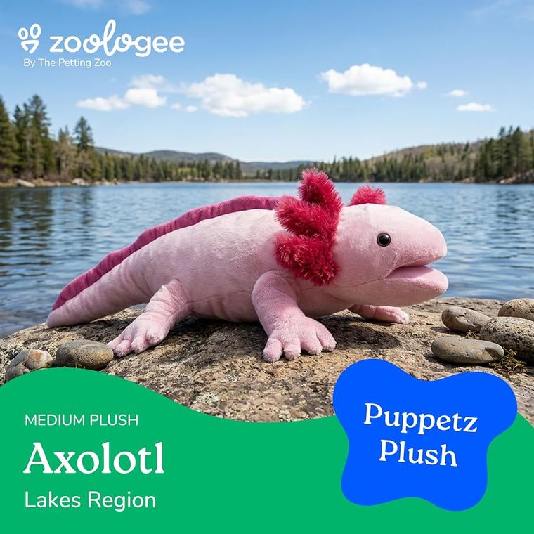 Pink Axolotl Hand Puppet Stuffed Animal by Zoologee, view 3