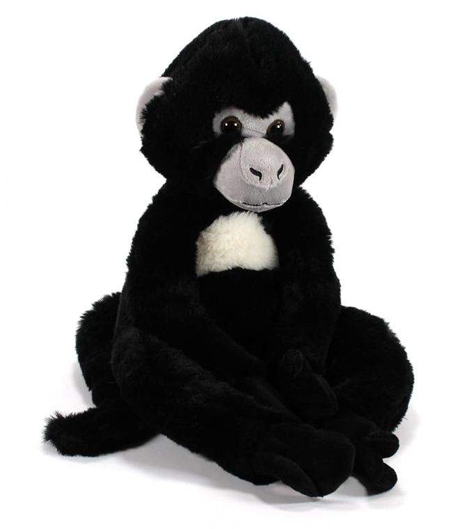 Spider Monkey Stuffed Animal, Wild Onez by Zoologee, view 3