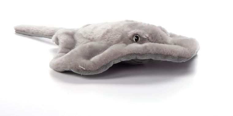 Stingray Stuffed Animal Plush, Wild Onez by Zoologee, view 2