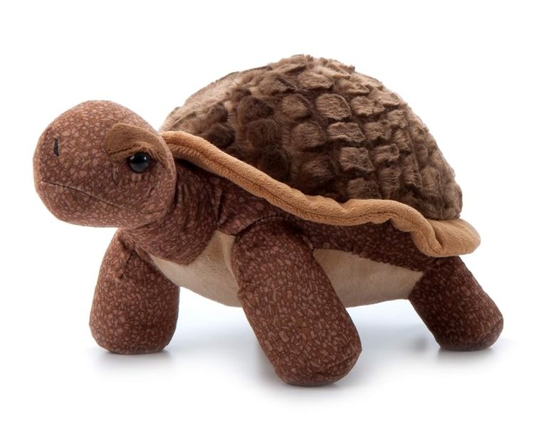 Tortoise Stuffed Animal Plush, Wild Onez by Zoologee, view 2