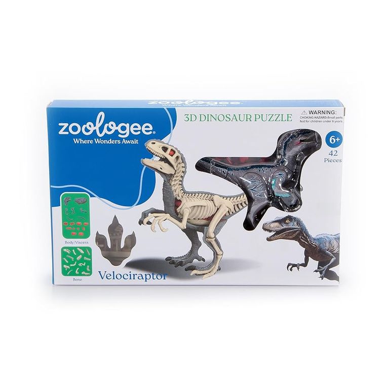 Velociraptor Dinosaur 3D Puzzle by Zoologee, view 2
